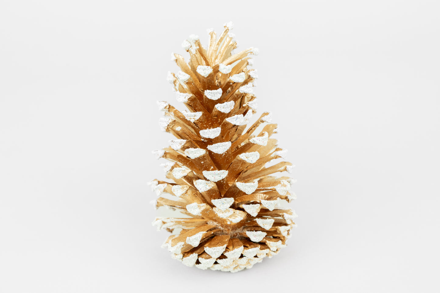 Long Leaf Cones (6-8"), 100 Pcs