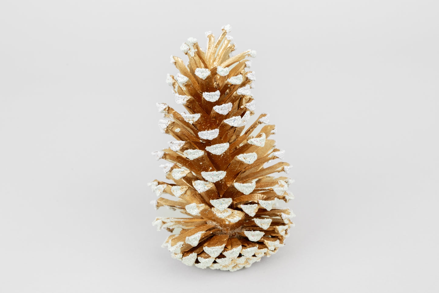 Long Leaf Cones (6-8"), 100 Pcs