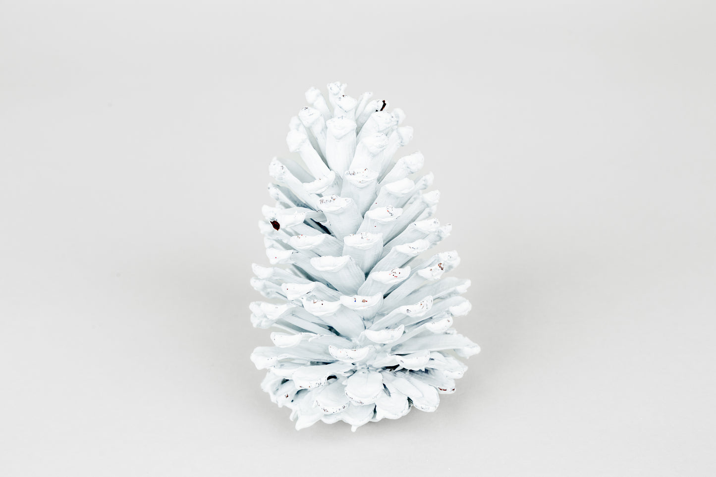 Slash Cones (4-6"), 100 Pcs - 18" Hyacinth Pick