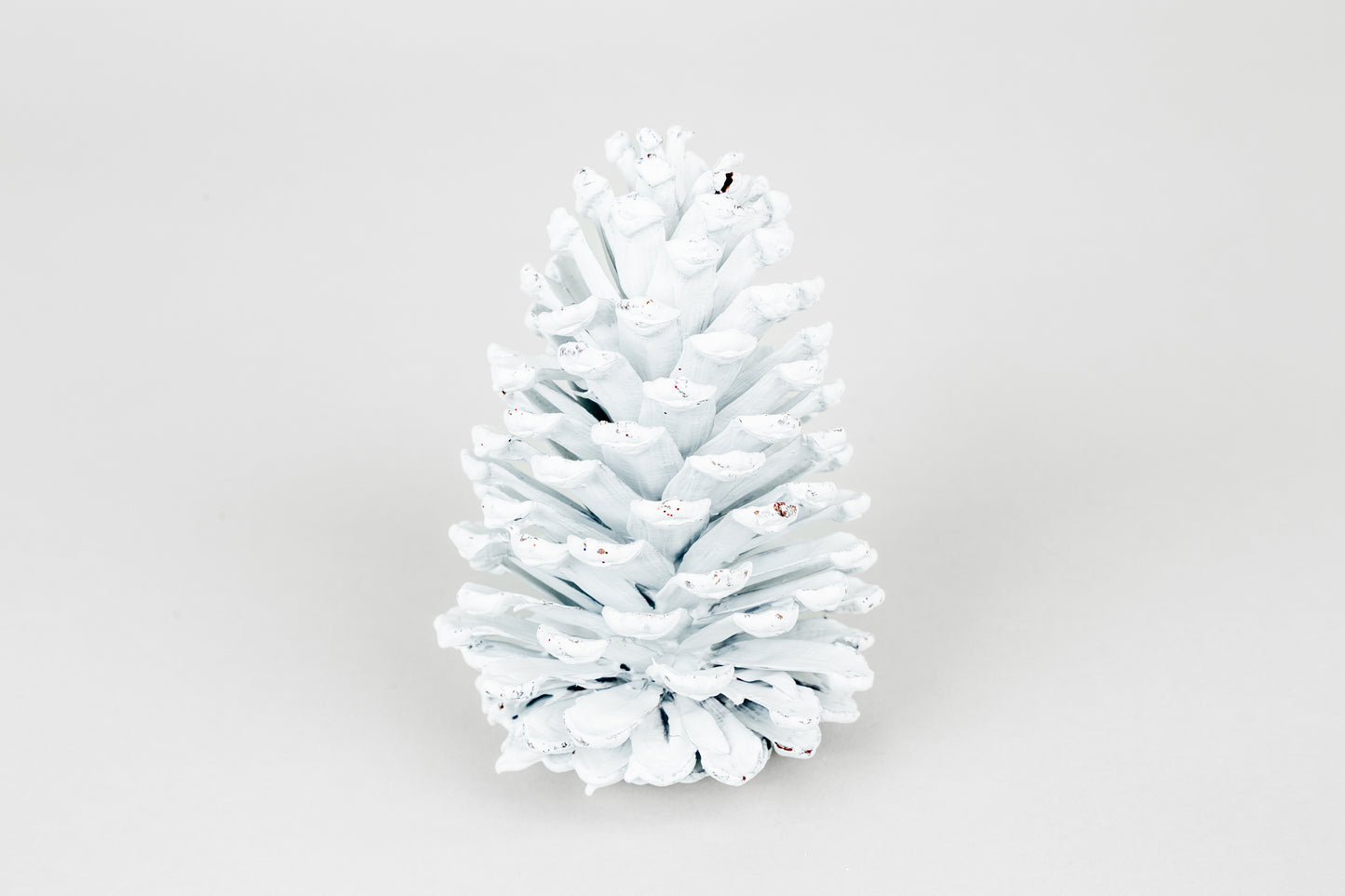 Slash Cones (4-6"), 100 Pcs - 18" Hyacinth Pick