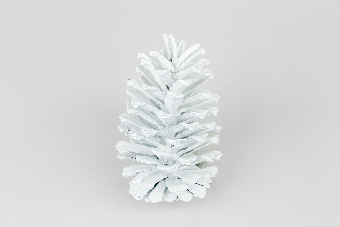 Long Leaf Cones (6-8"), 100 Pcs