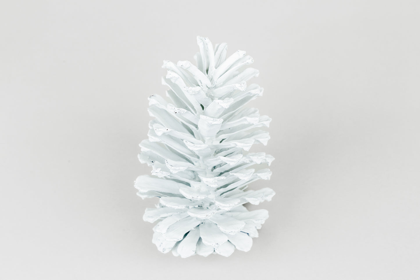 Long Leaf Cones (6-8"), 100 Pcs