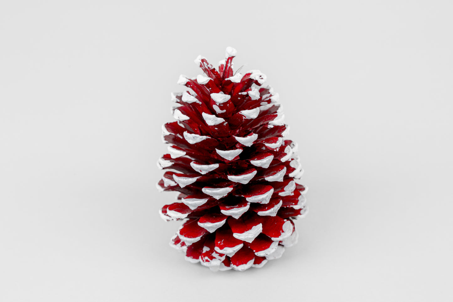 Slash Cones (4-6"), 100 Pcs - 18" Hyacinth Pick
