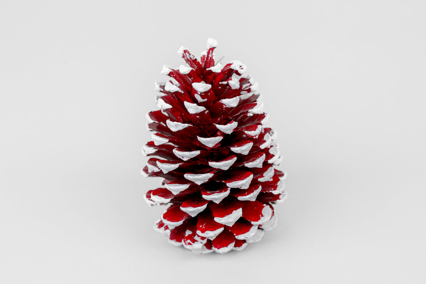 Slash Cones (4-6"), 100 Pcs - 18" Hyacinth Pick