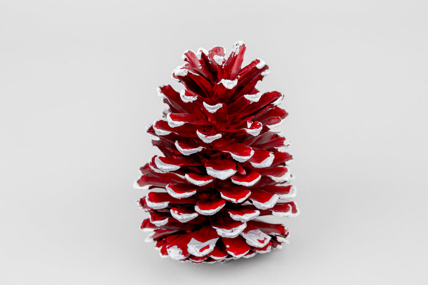 Long Leaf Cones (6-8"), 100 Pcs