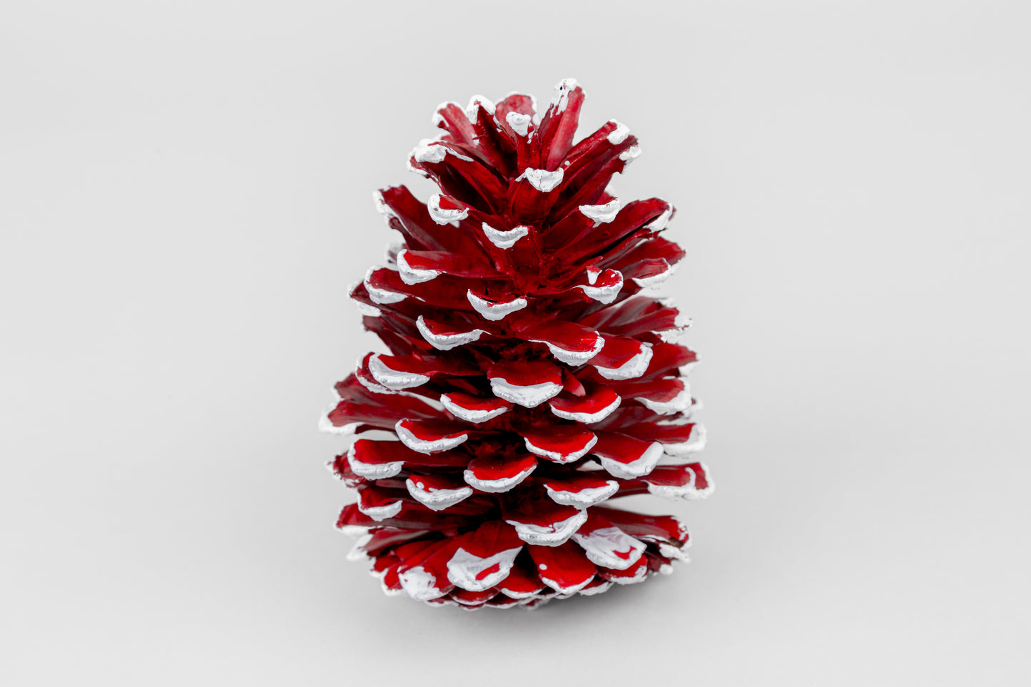 Long Leaf Cones (6-8"), 100 Pcs
