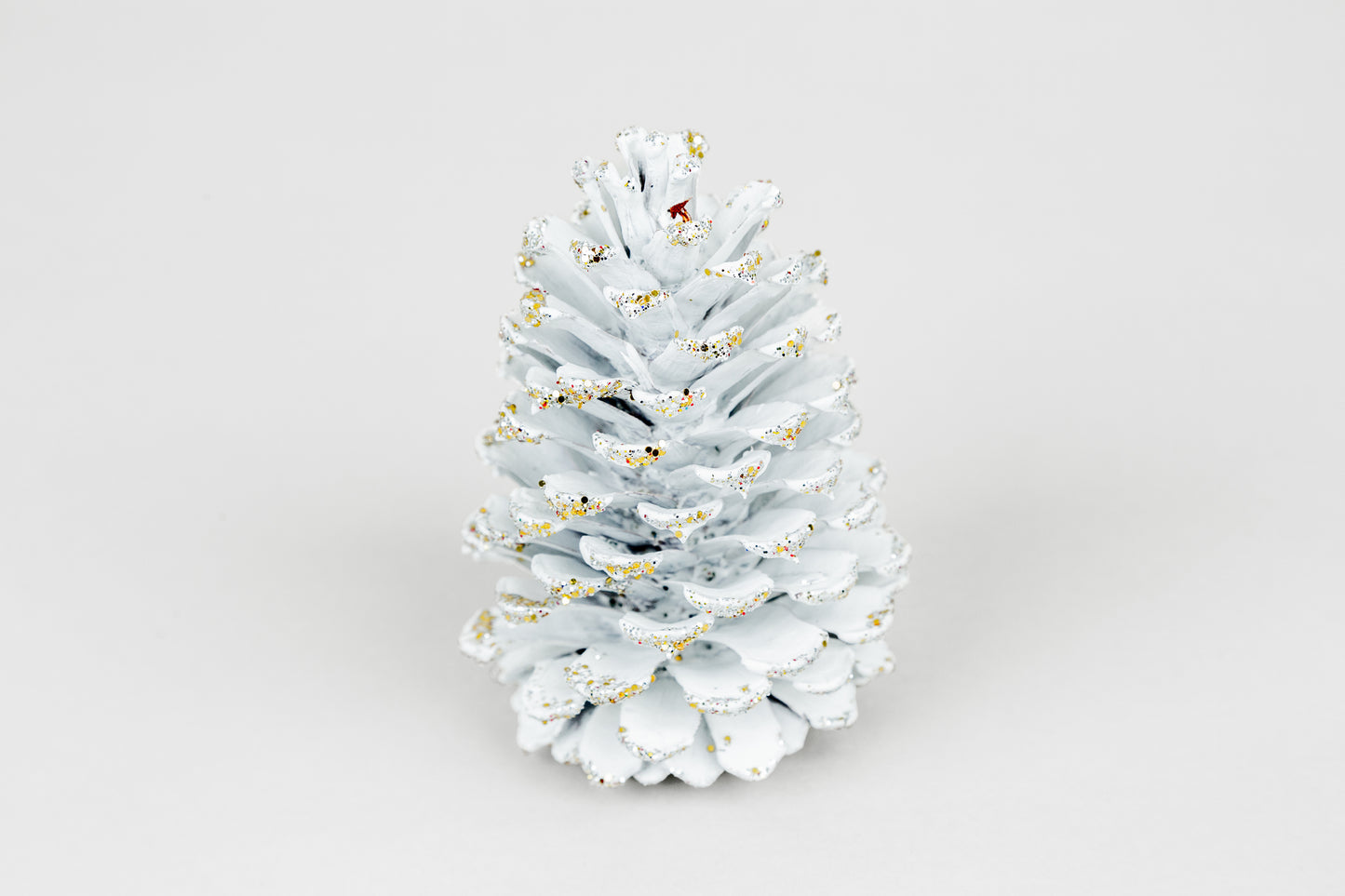 Loblolly Cones (3-4"), 100 Pcs