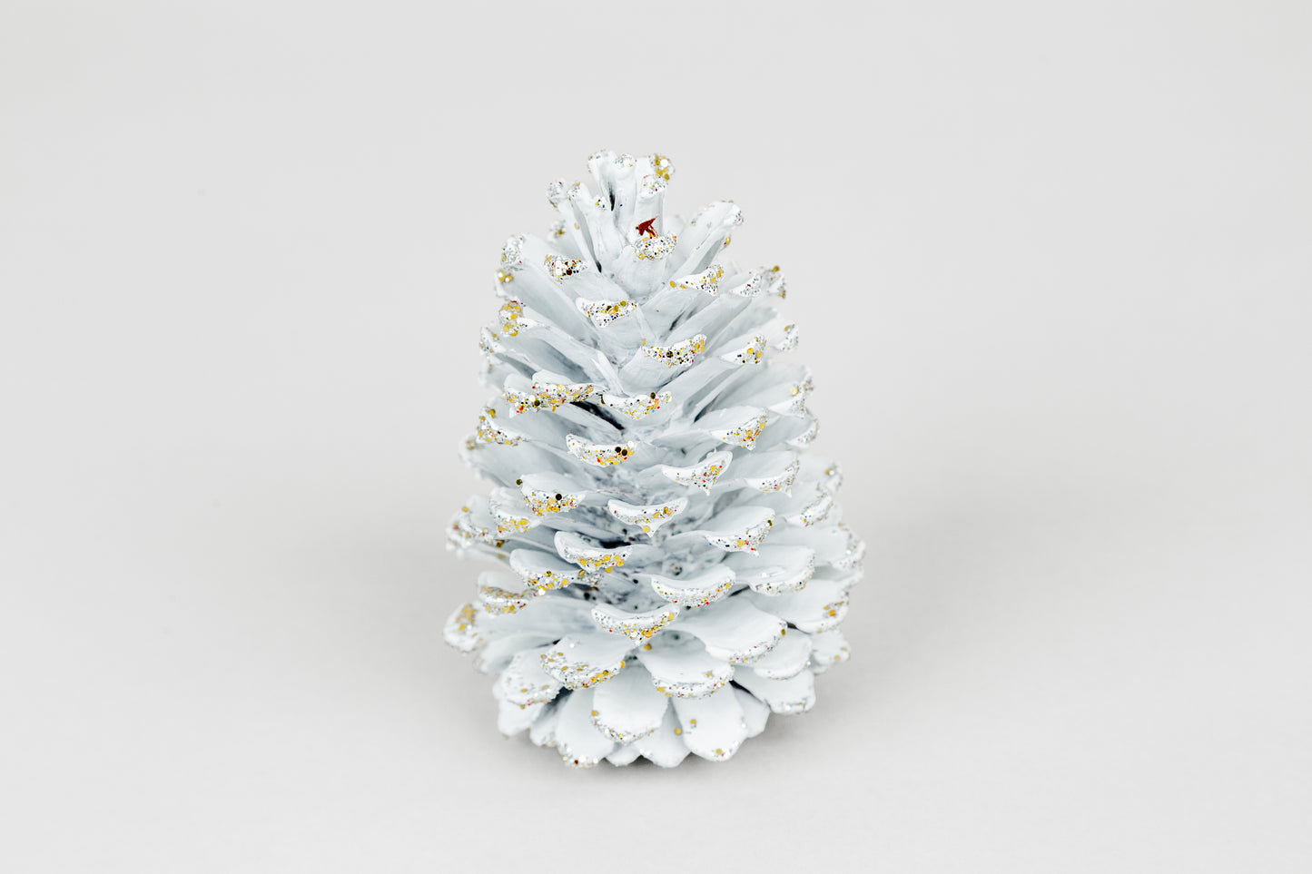 Loblolly Cones (3-4"), 100 Pcs