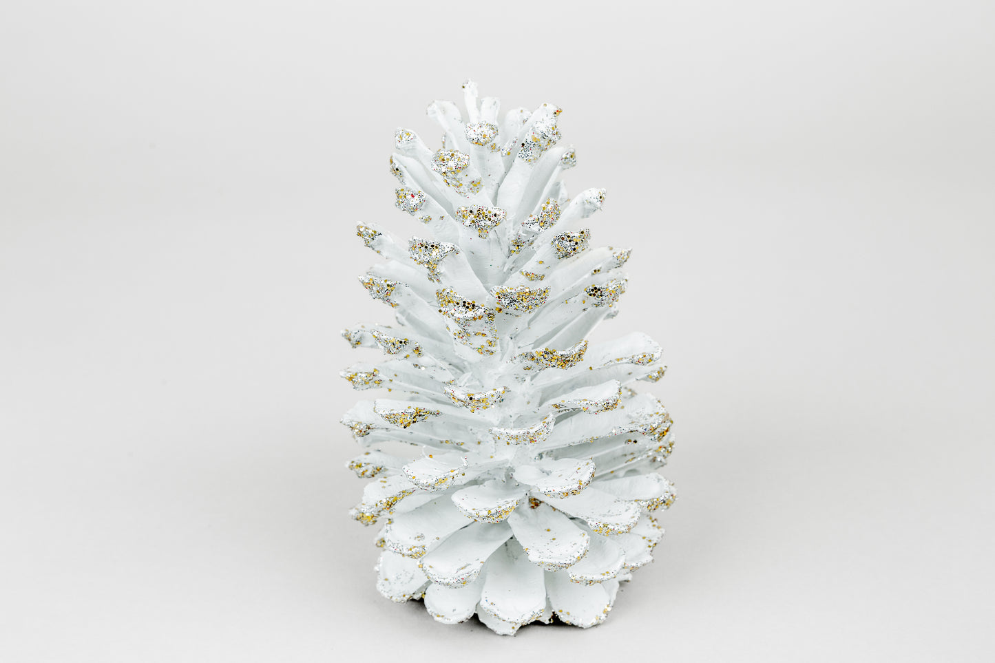 Long Leaf Cones (6-8"), 100 Pcs