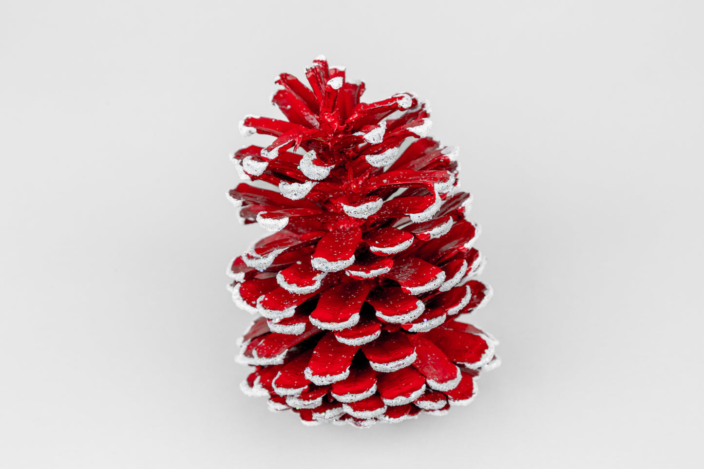 Long Leaf Cones (6-8"), 100 Pcs