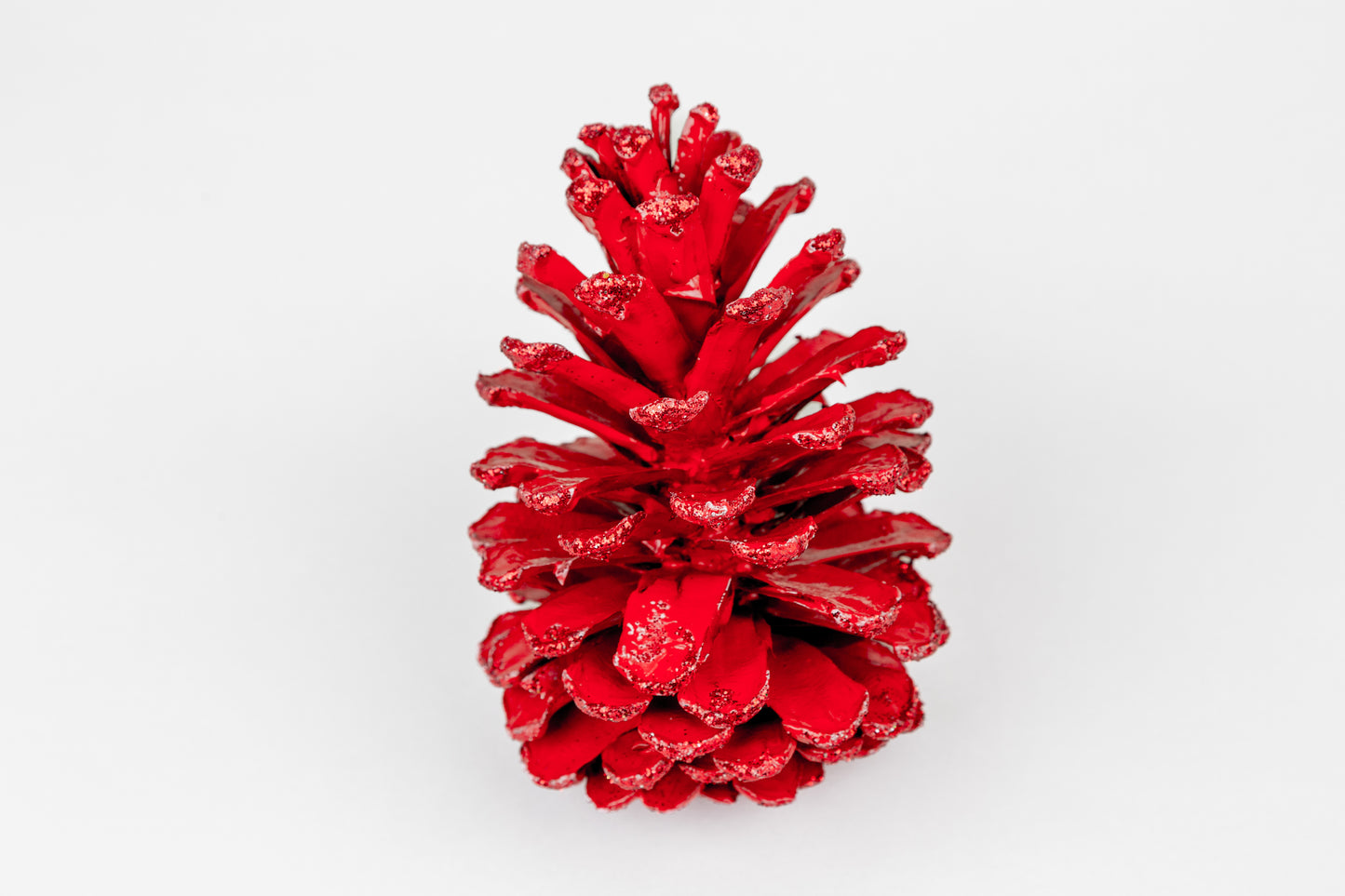 Long Leaf Cones (6-8"), 100 Pcs