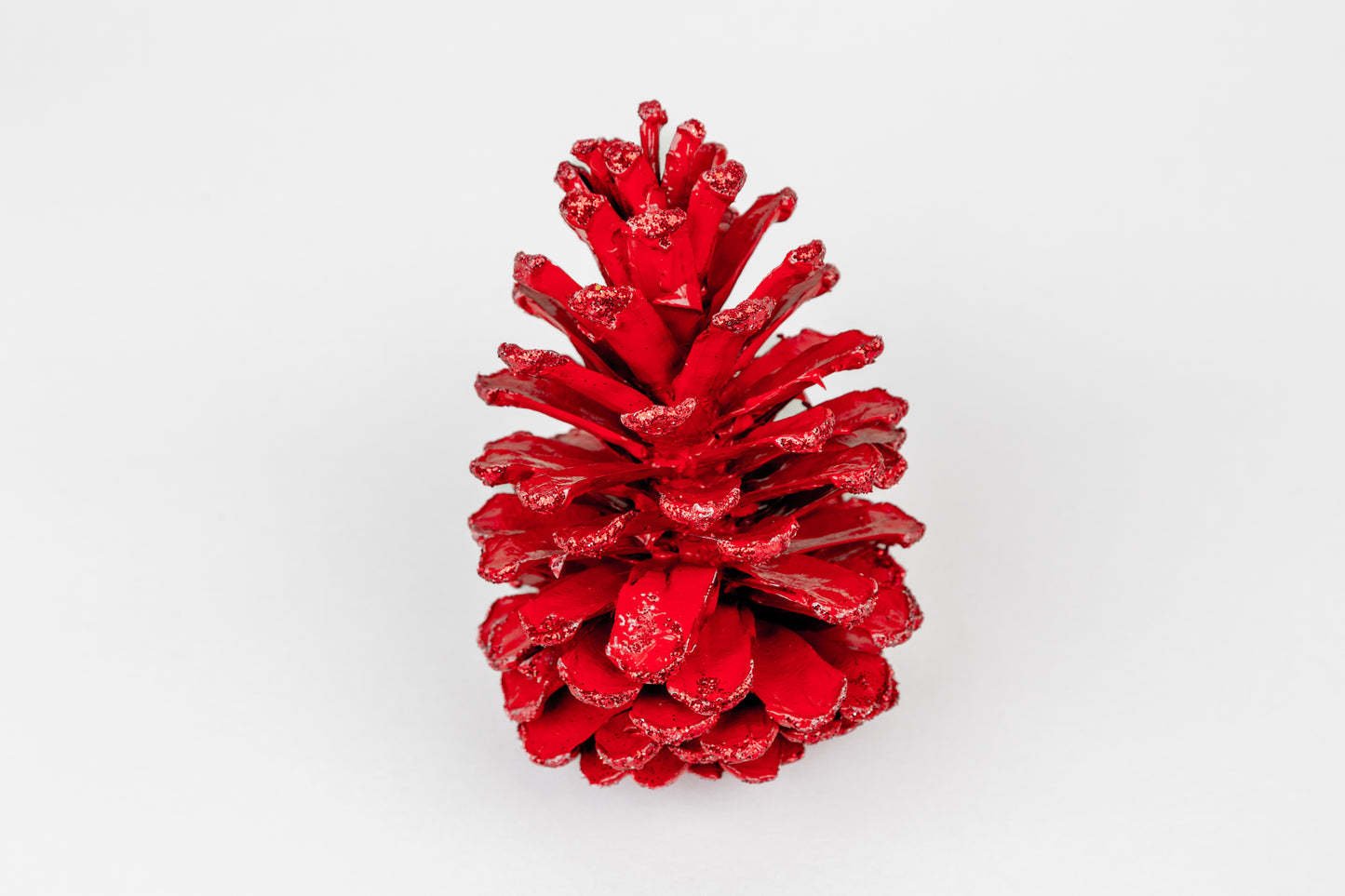 Long Leaf Cones (6-8"), 100 Pcs