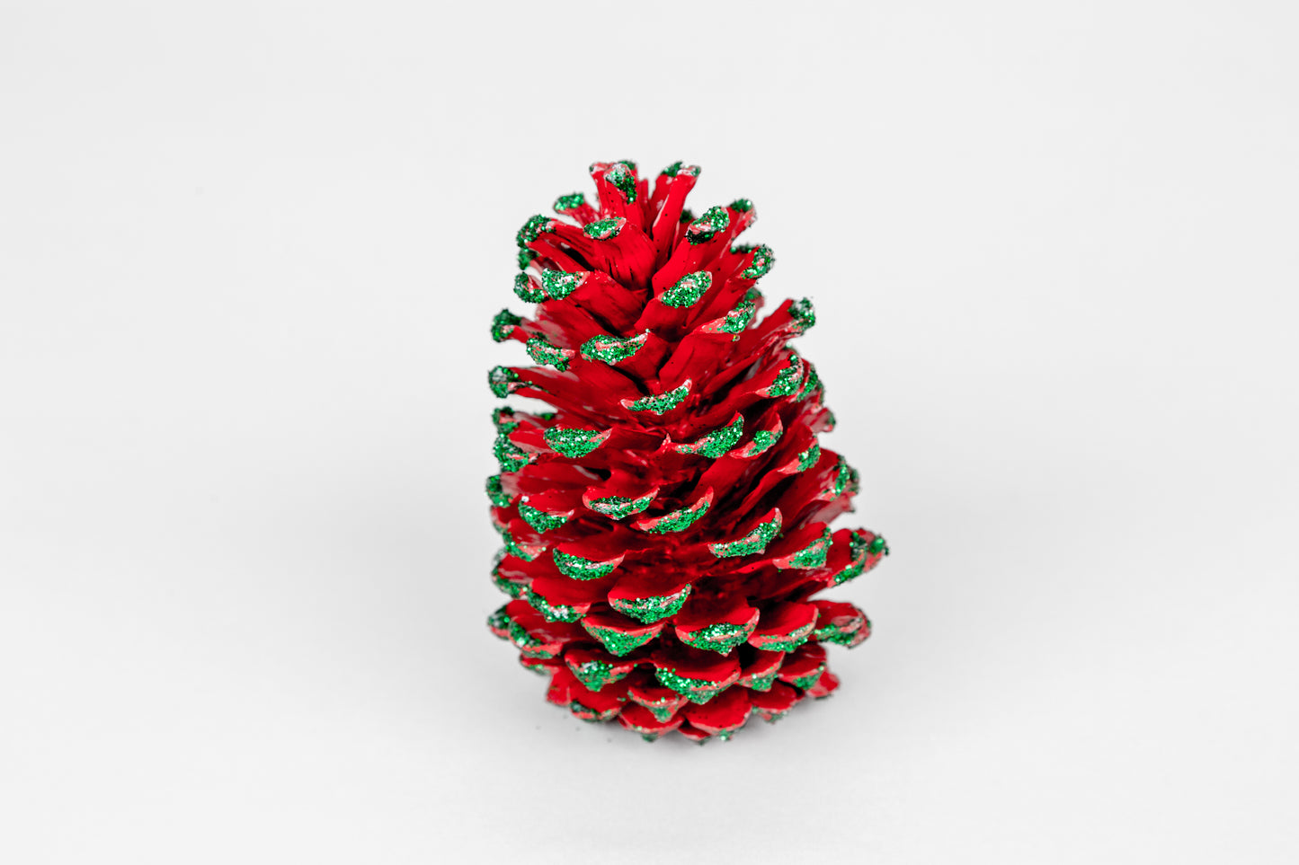 Loblolly Cones (3-4"), 100 Pcs