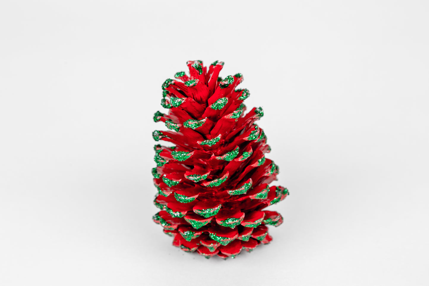 Loblolly Cones (3-4"), 100 Pcs