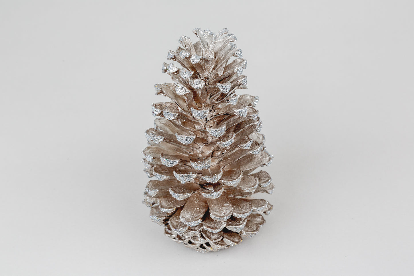 Long Leaf Cones (6-8"), 100 Pcs