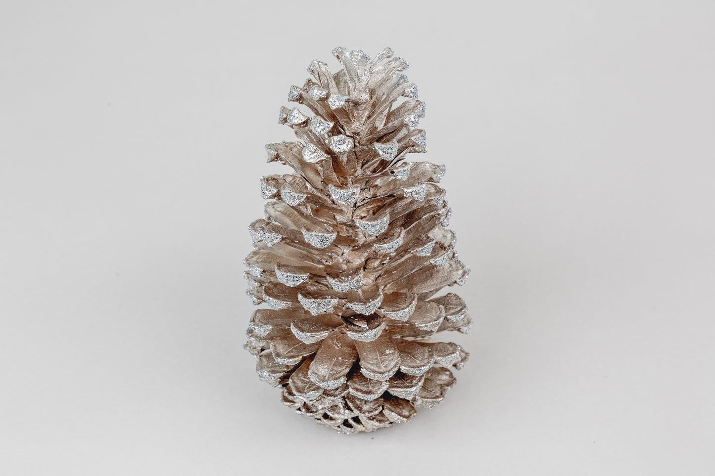 Long Leaf Cones (6-8"), 100 Pcs