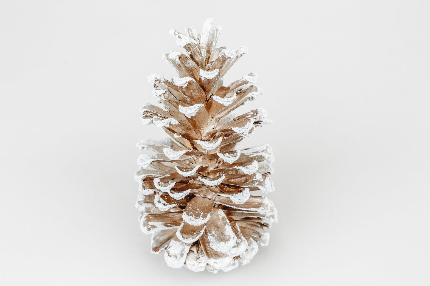 Long Leaf Cones (6-8"), 100 Pcs