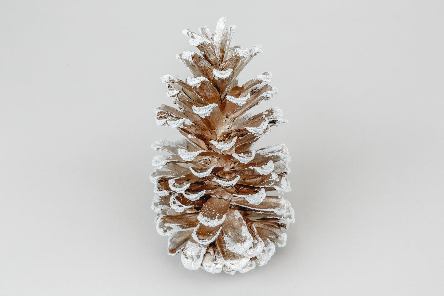 Long Leaf Cones (6-8"), 100 Pcs