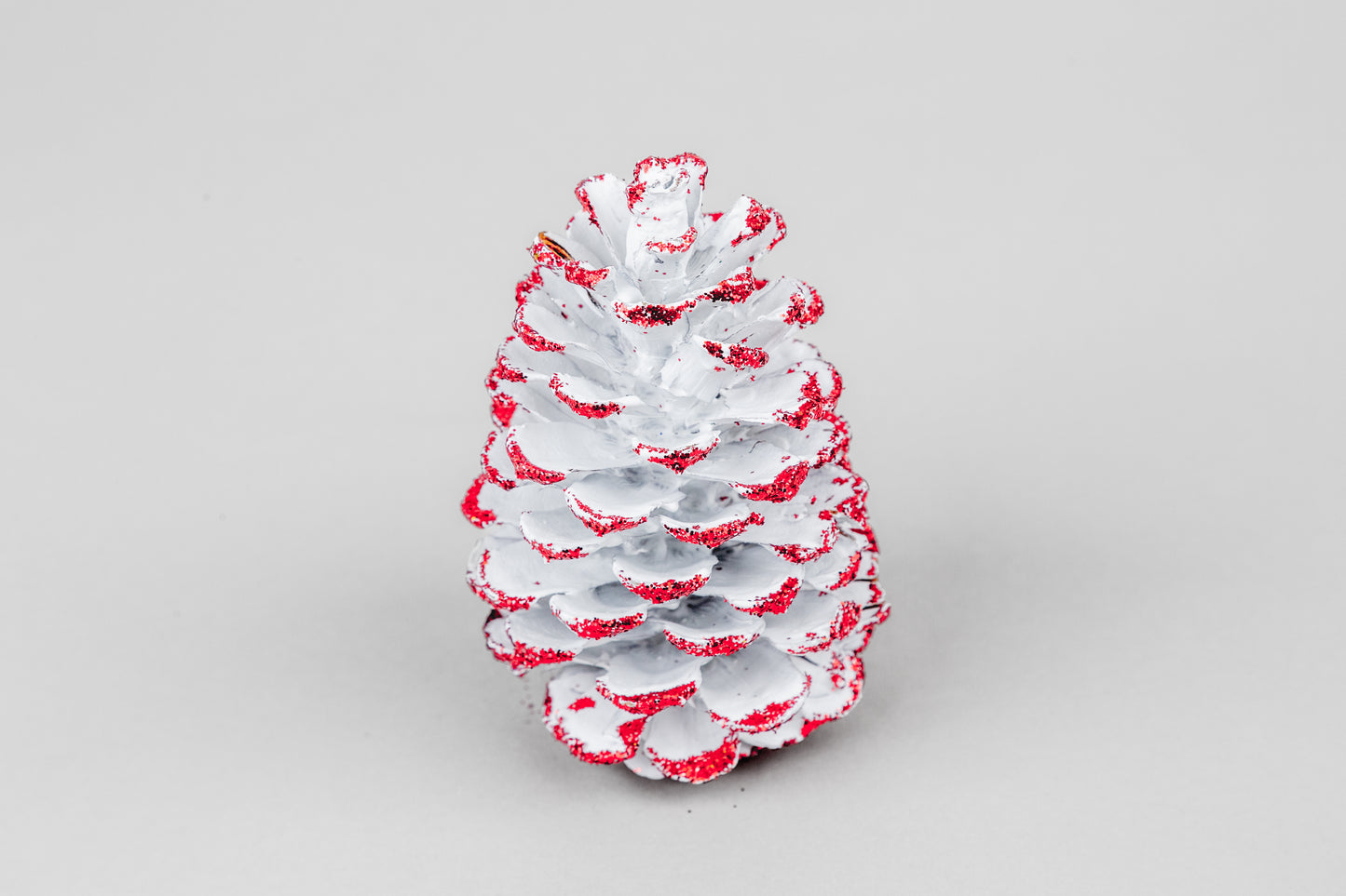 Loblolly Cones (3-4"), 100 Pcs