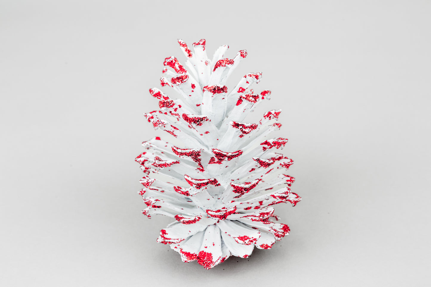 Long Leaf Cones (6-8"), 100 Pcs