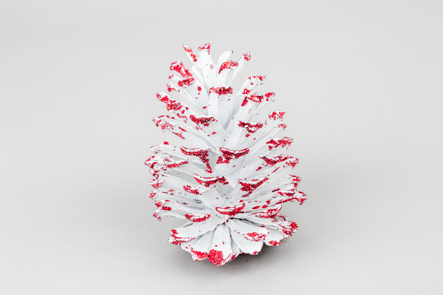 Long Leaf Cones (6-8"), 100 Pcs
