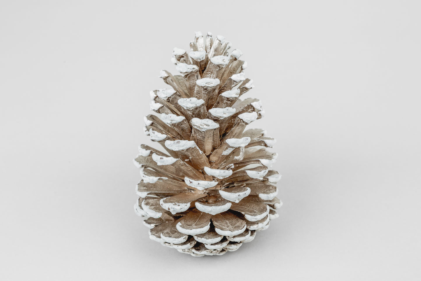 Slash Cones (4-6"), 100 Pcs - 18" Hyacinth Pick