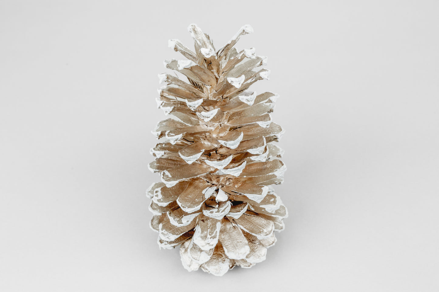 Long Leaf Cones (6-8"), 100 Pcs