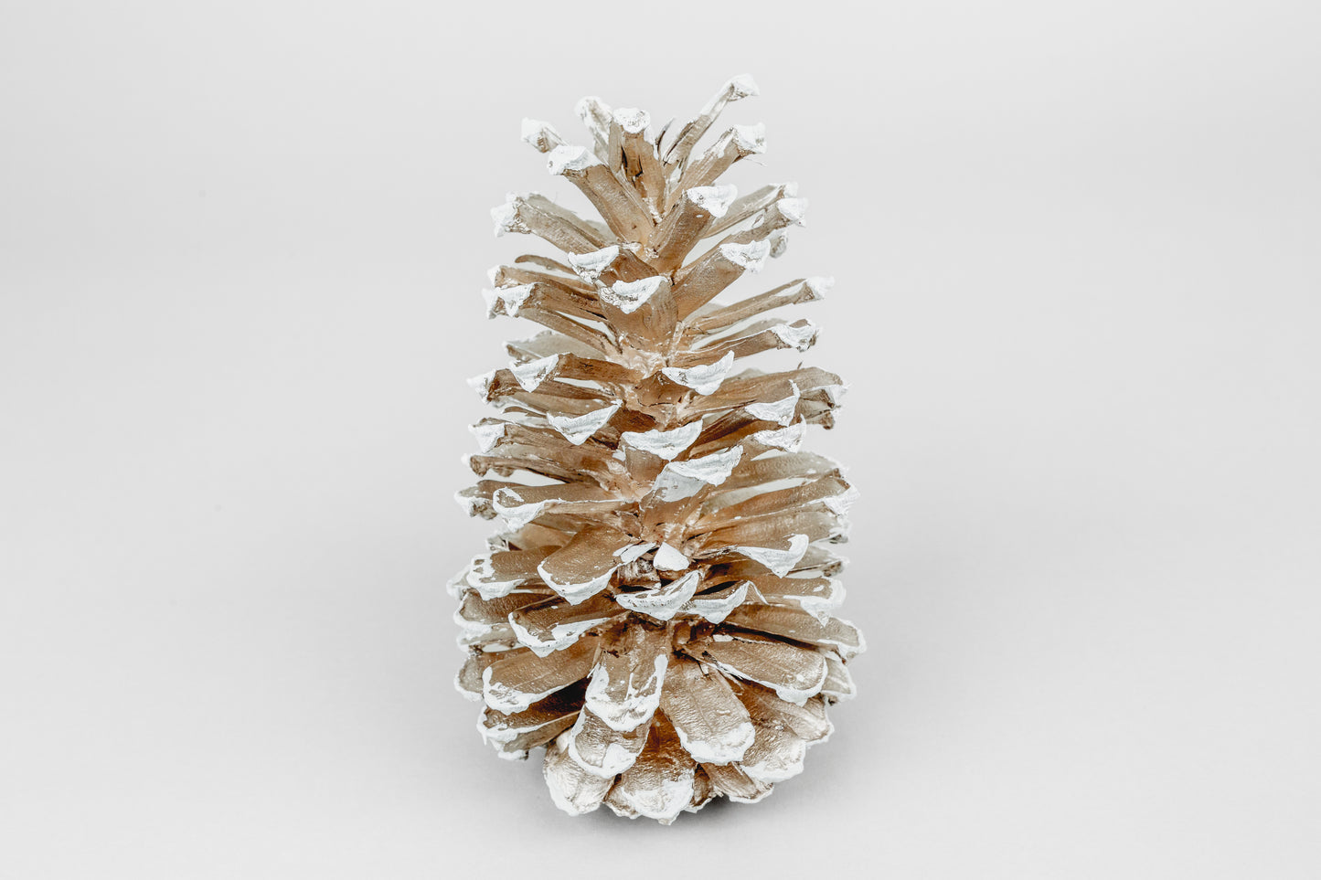 Long Leaf Cones (6-8"), 100 Pcs