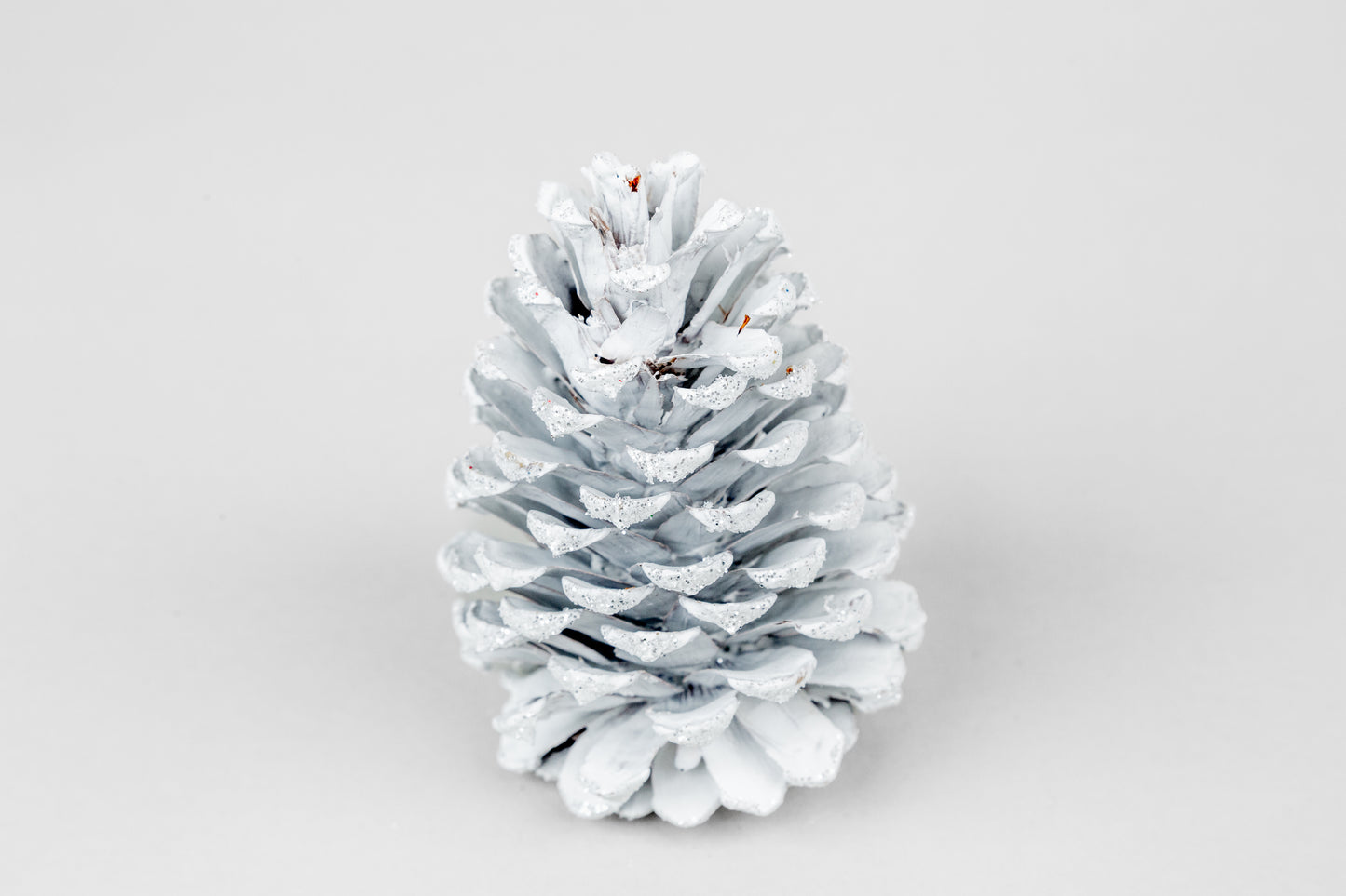 Slash Cones (4-6"), 100 Pcs - 18" Hyacinth Pick
