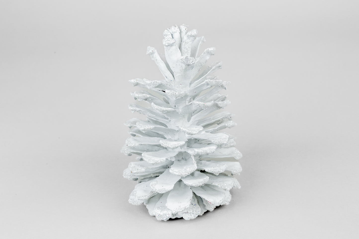 Long Leaf Cones (6-8"), 100 Pcs