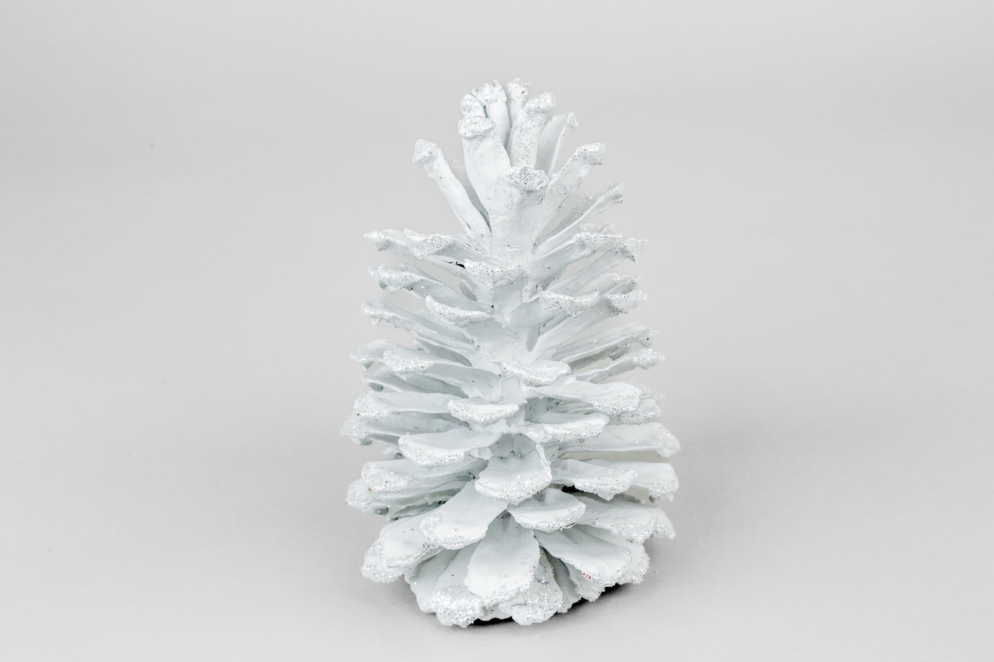 Long Leaf Cones (6-8"), 100 Pcs