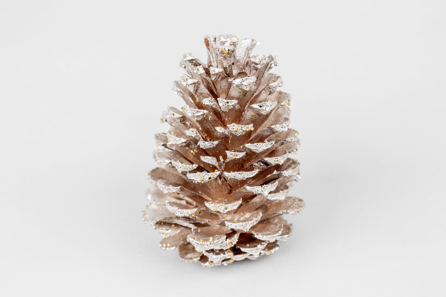 Loblolly Cones (3-4"), 100 Pcs