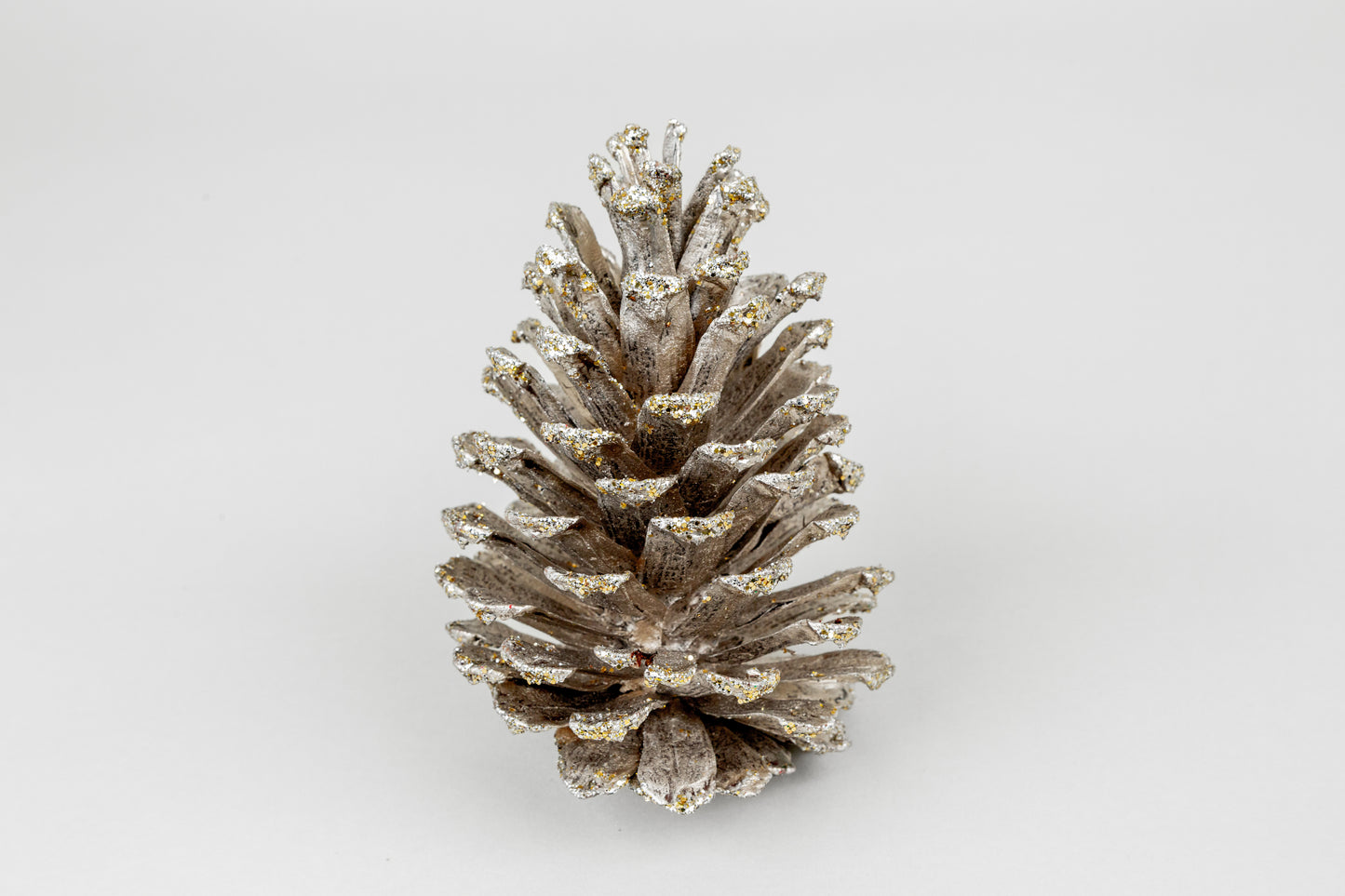Long Leaf Cones (6-8"), 100 Pcs