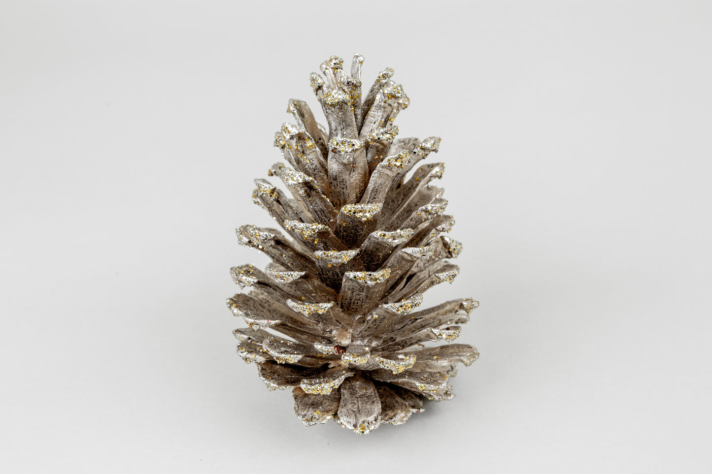 Long Leaf Cones (6-8"), 100 Pcs
