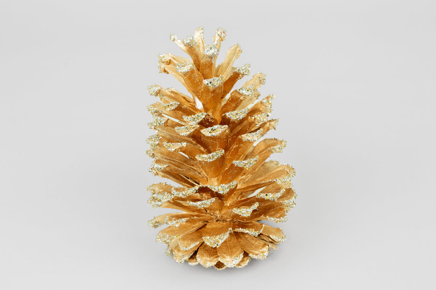Long Leaf Cones (6-8"), 100 Pcs