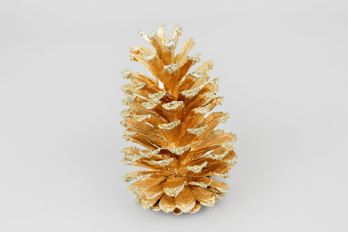 Long Leaf Cones (6-8"), 100 Pcs