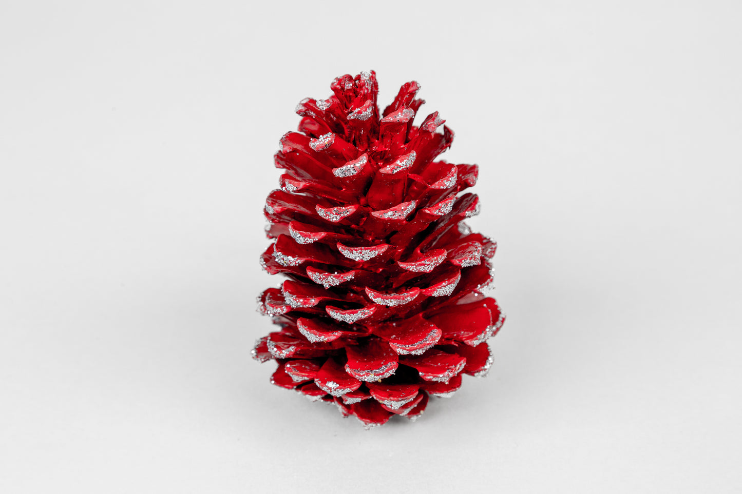 Loblolly Cones (3-4"), 100 Pcs