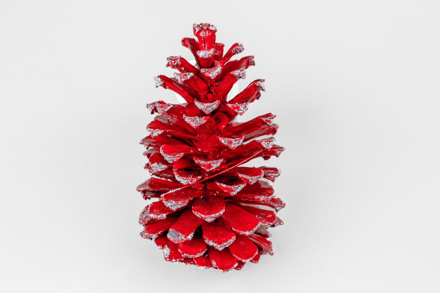 Long Leaf Cones (6-8"), 100 Pcs