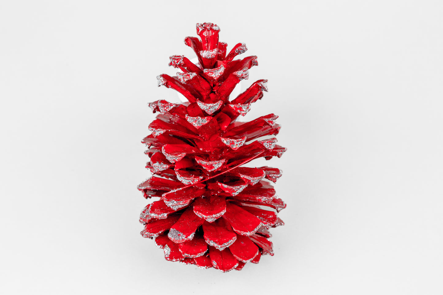 Long Leaf Cones (6-8"), 100 Pcs
