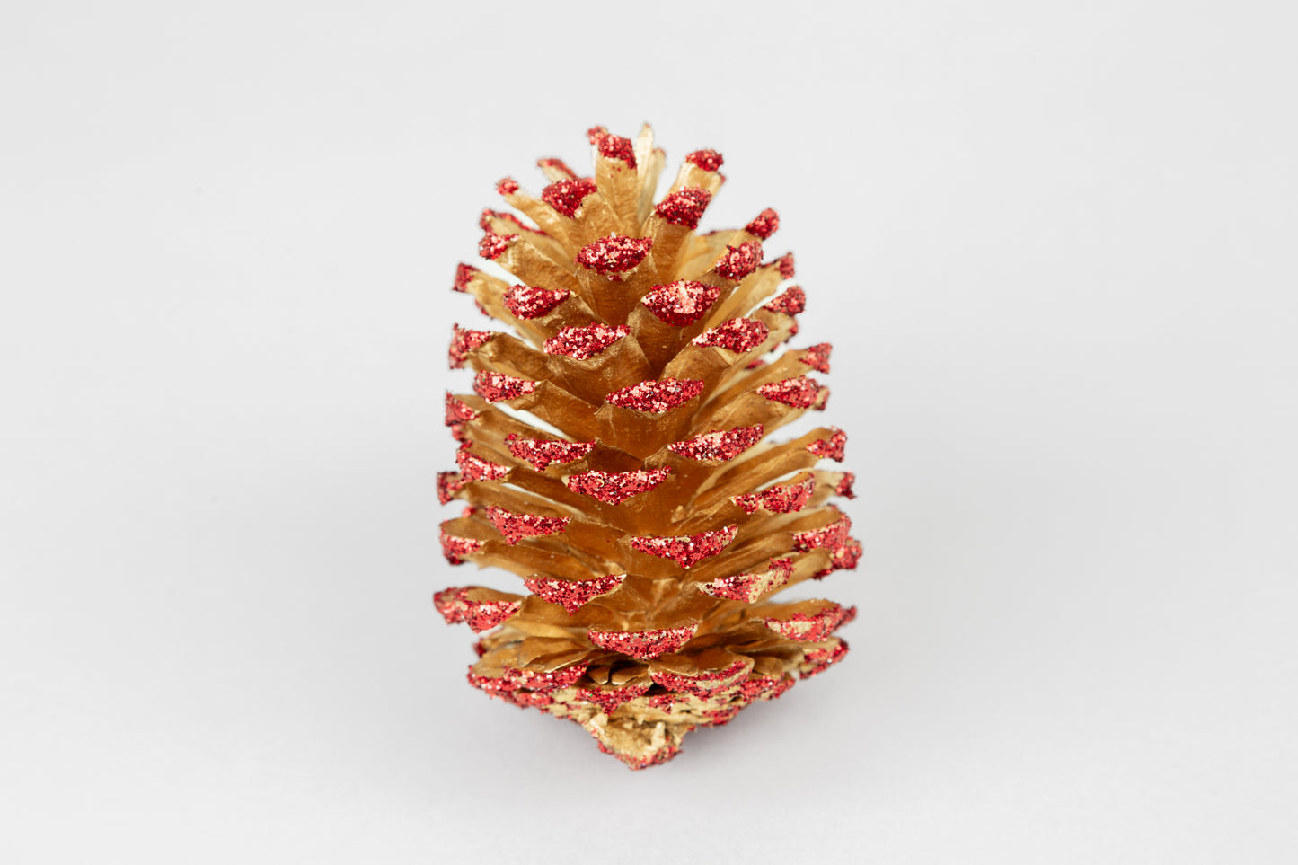Loblolly Cones (3-4"), 100 Pcs