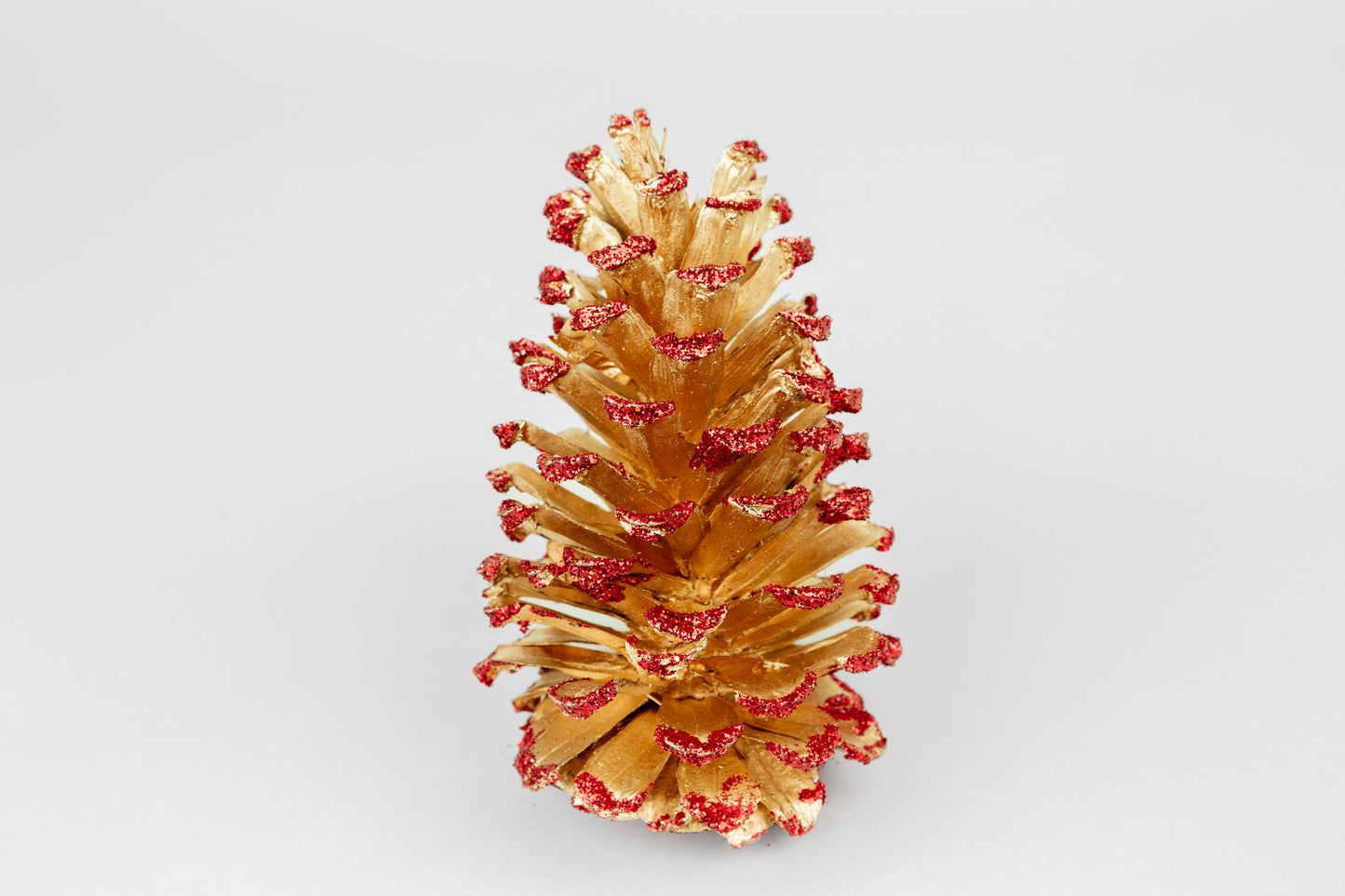 Long Leaf Cones (6-8"), 100 Pcs