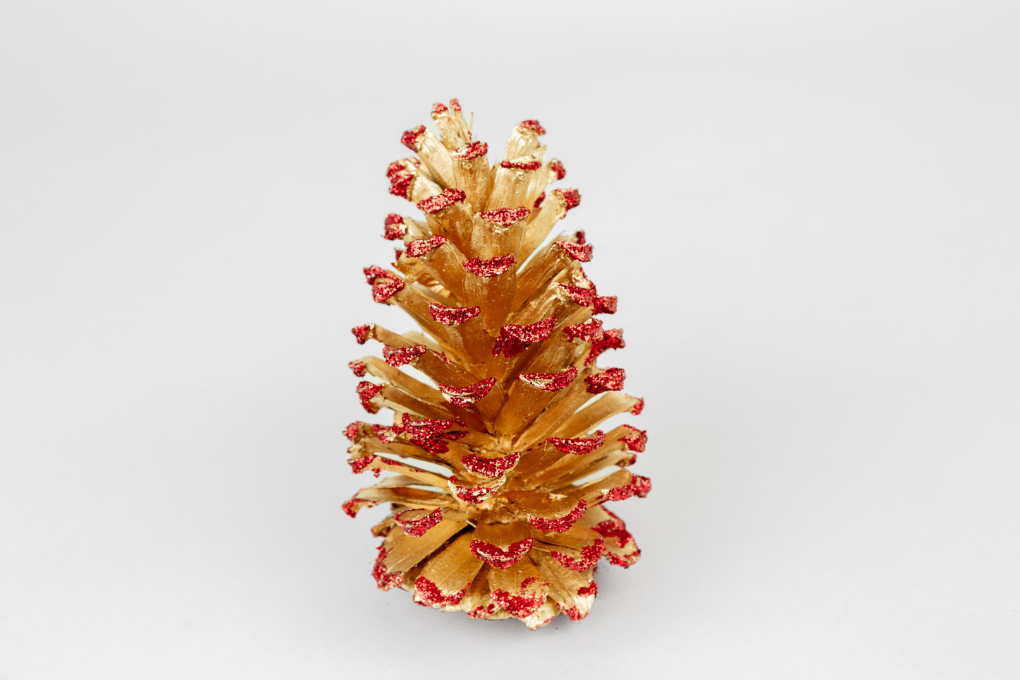 Long Leaf Cones (6-8"), 100 Pcs