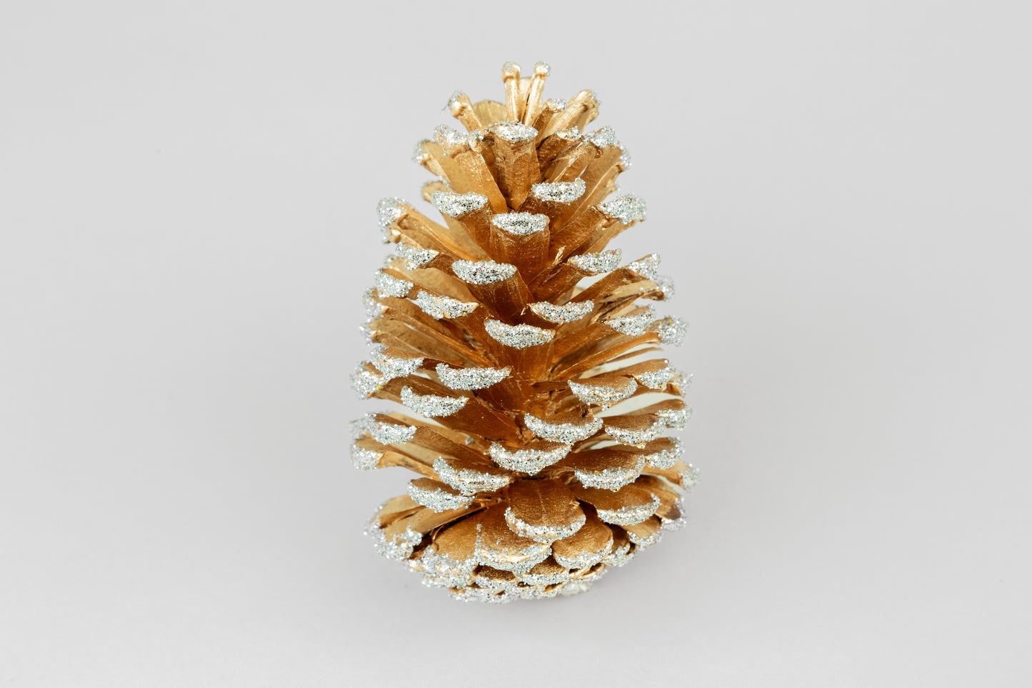 Long Leaf Cones (6-8"), 100 Pcs