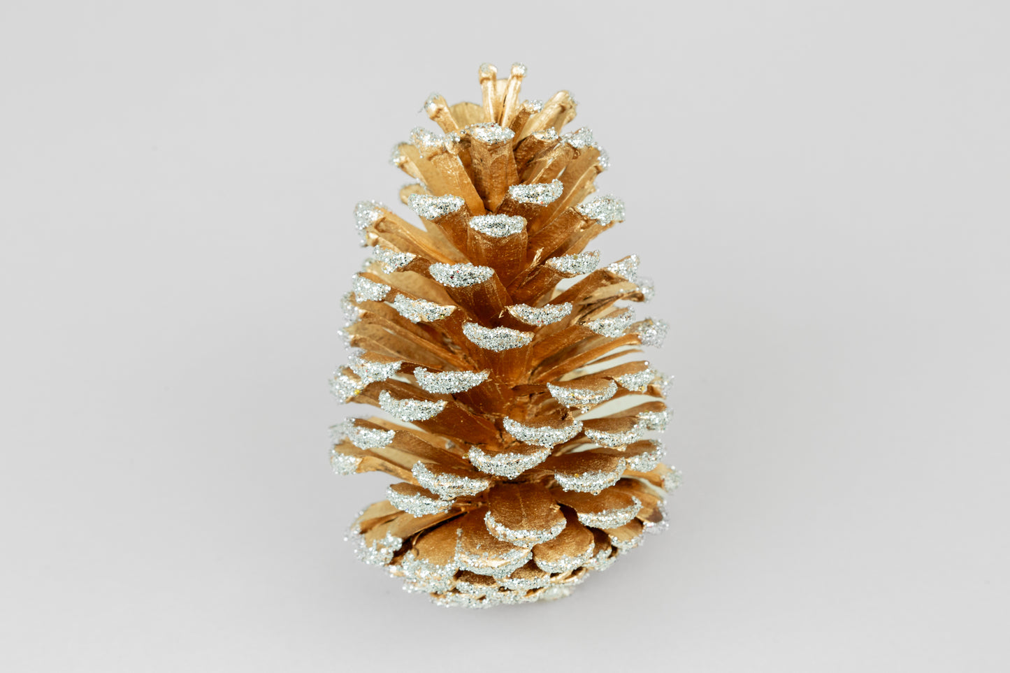 Long Leaf Cones (6-8"), 100 Pcs