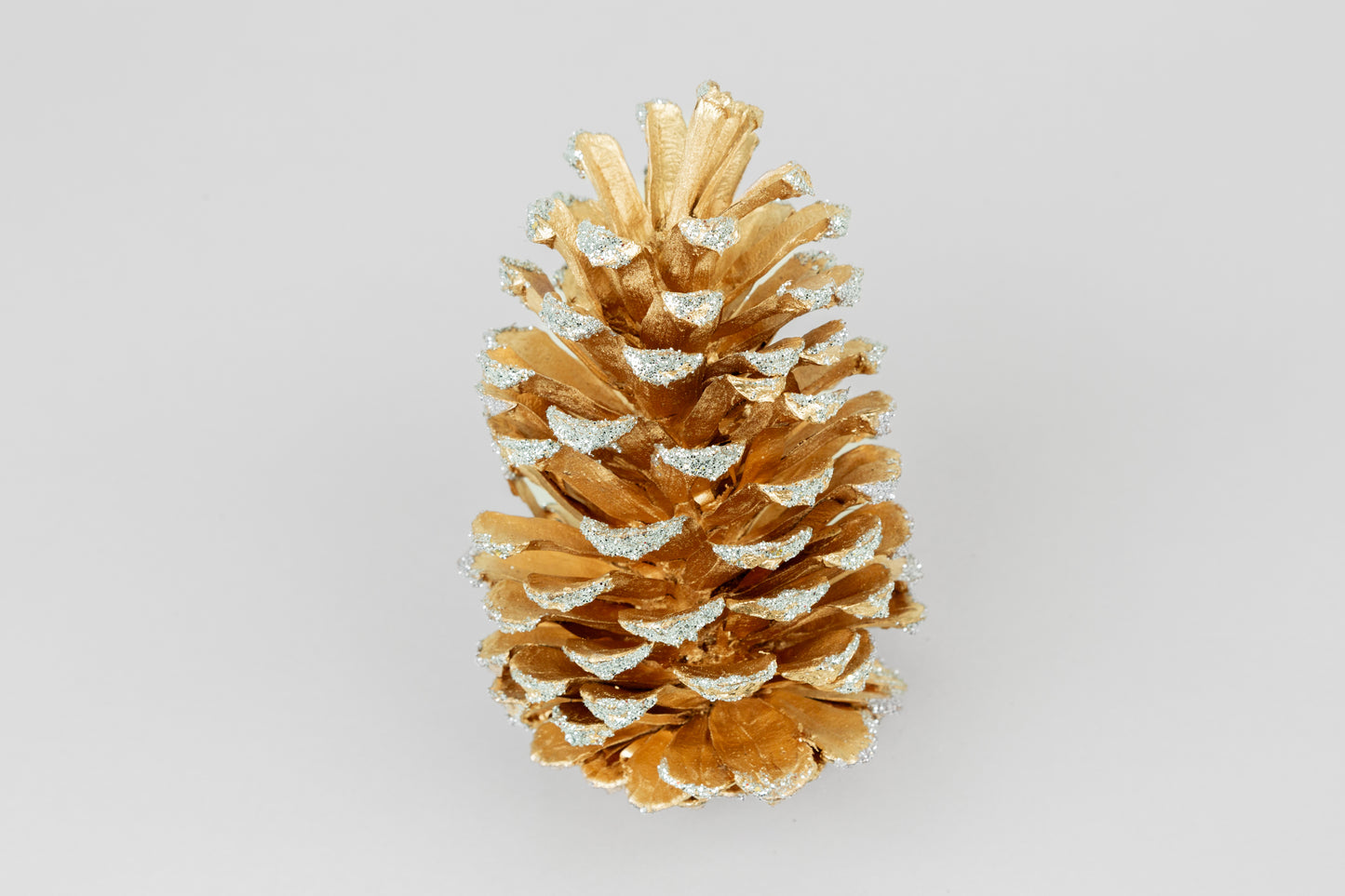 Long Leaf Cones (6-8"), 100 Pcs