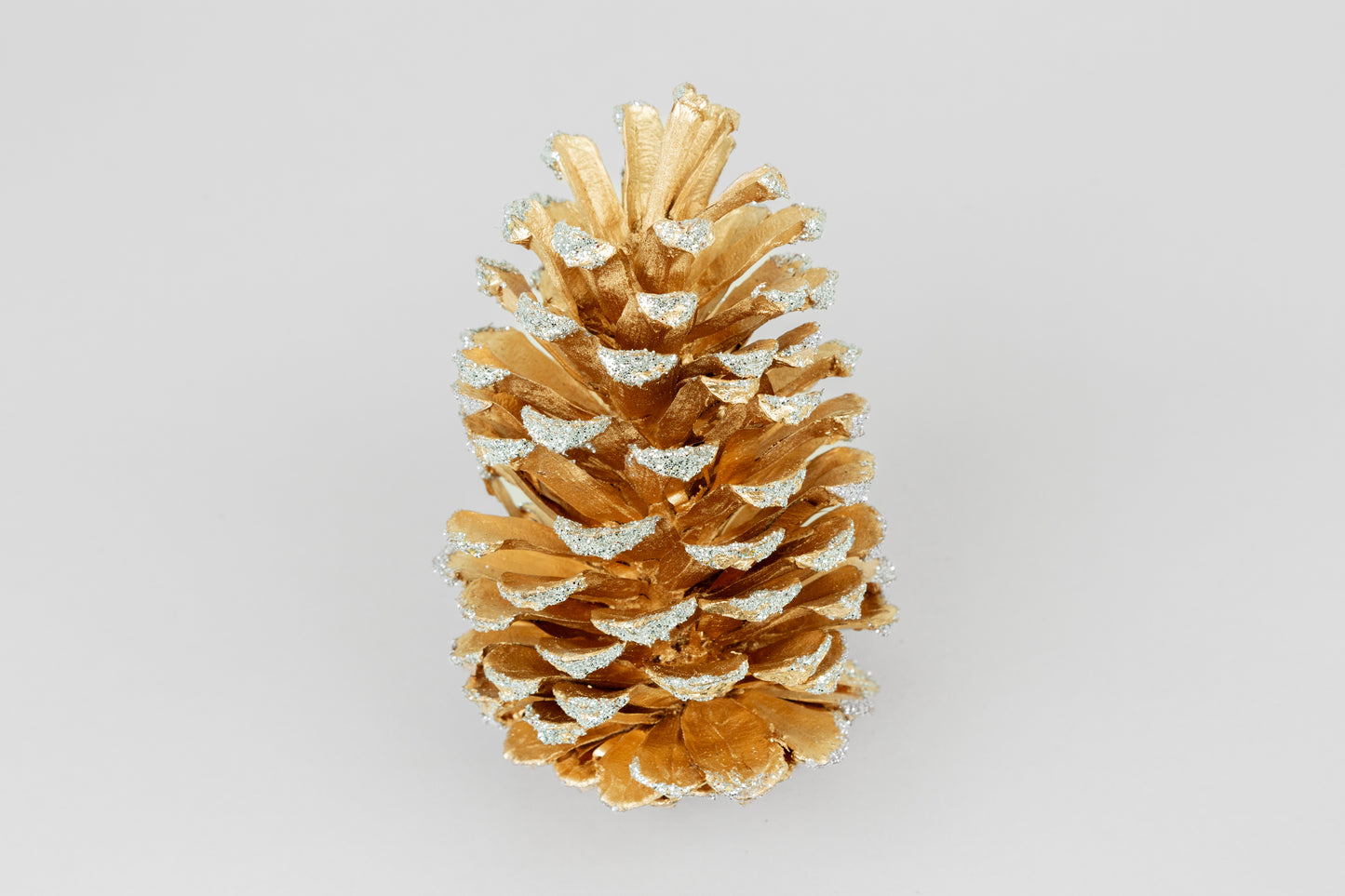 Long Leaf Cones (6-8"), 100 Pcs