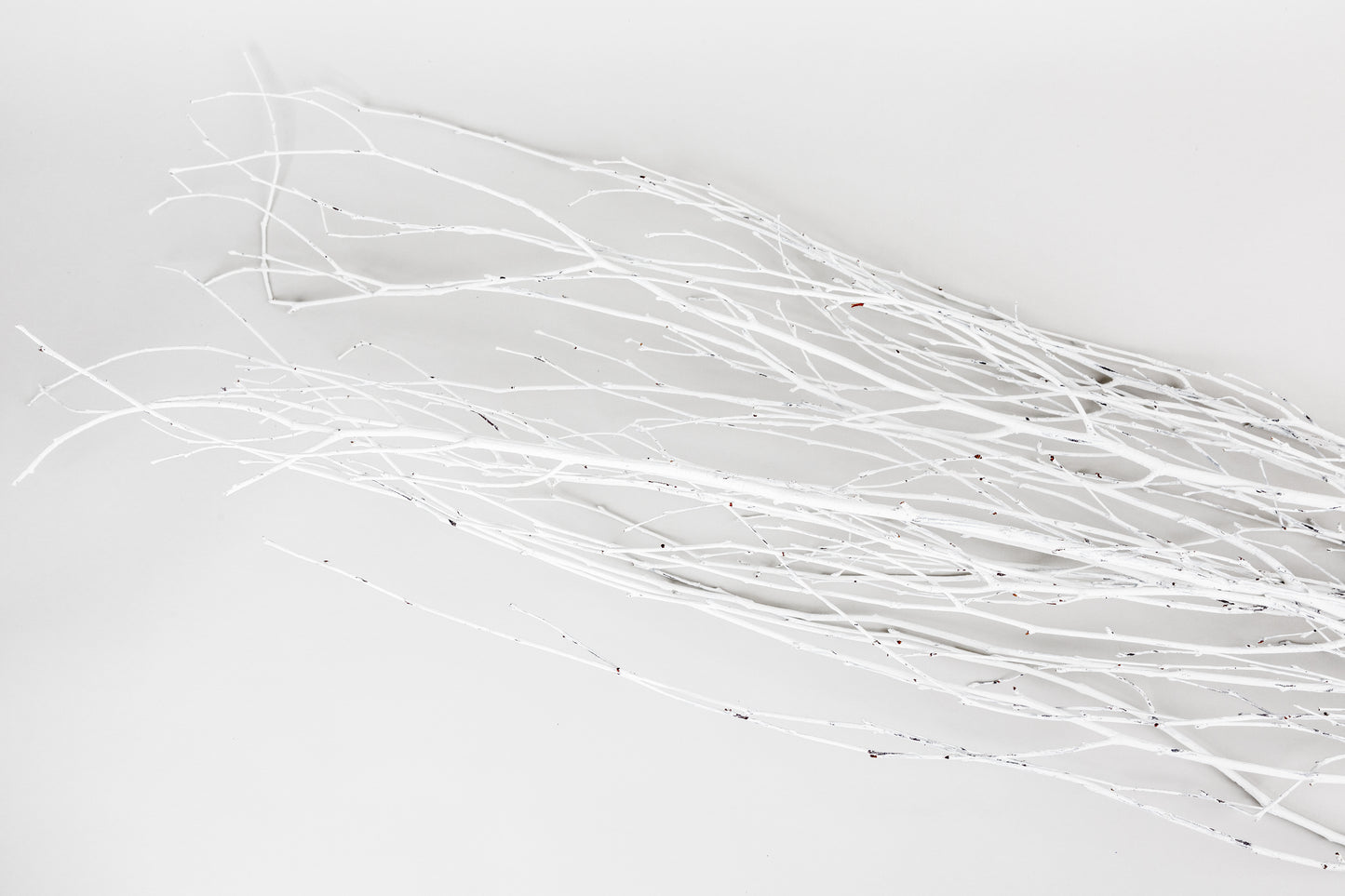 Birch Branches