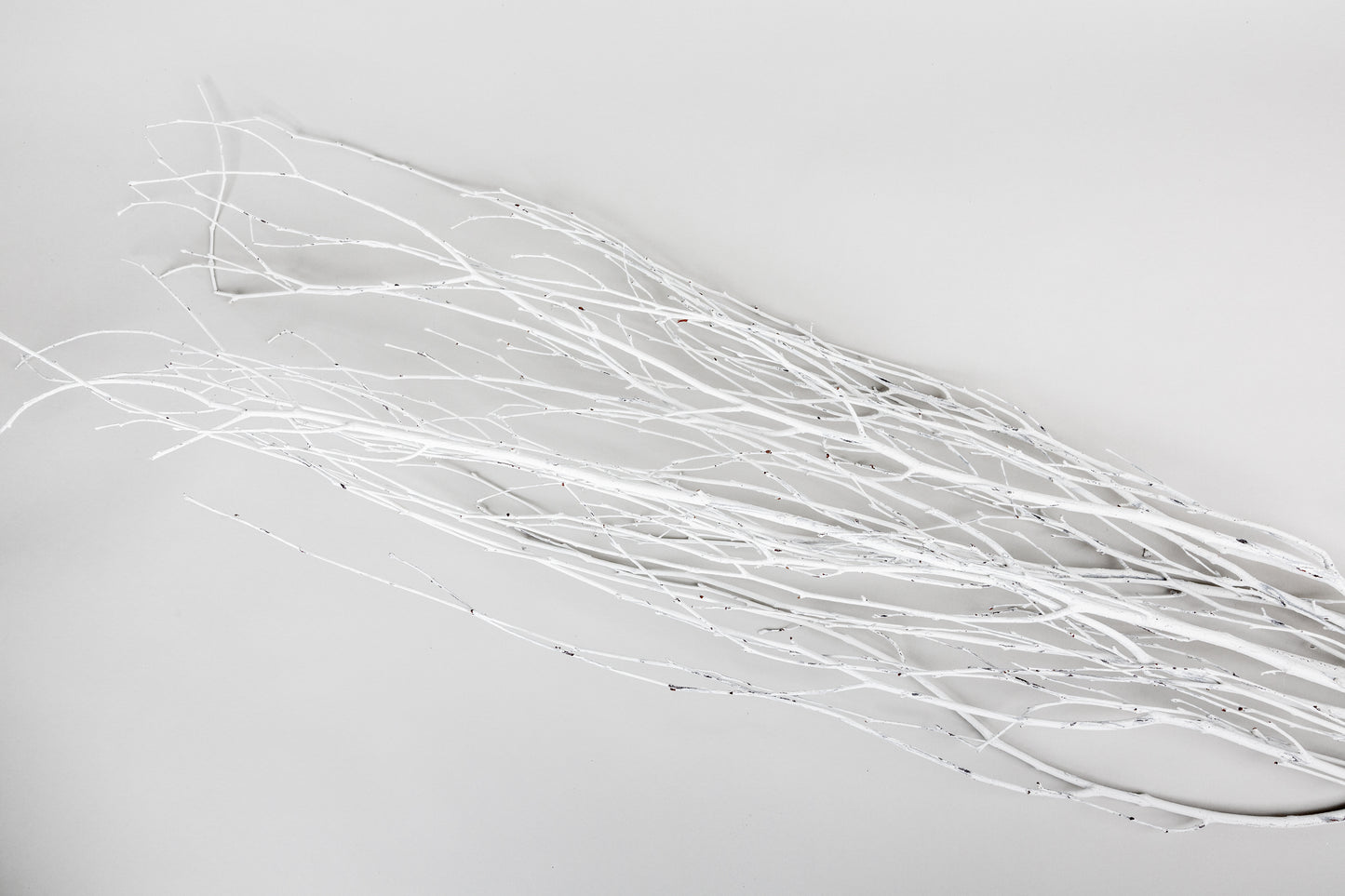 Birch Branches