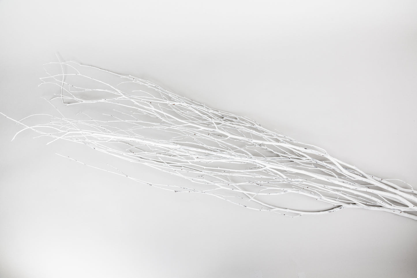 Birch Branches