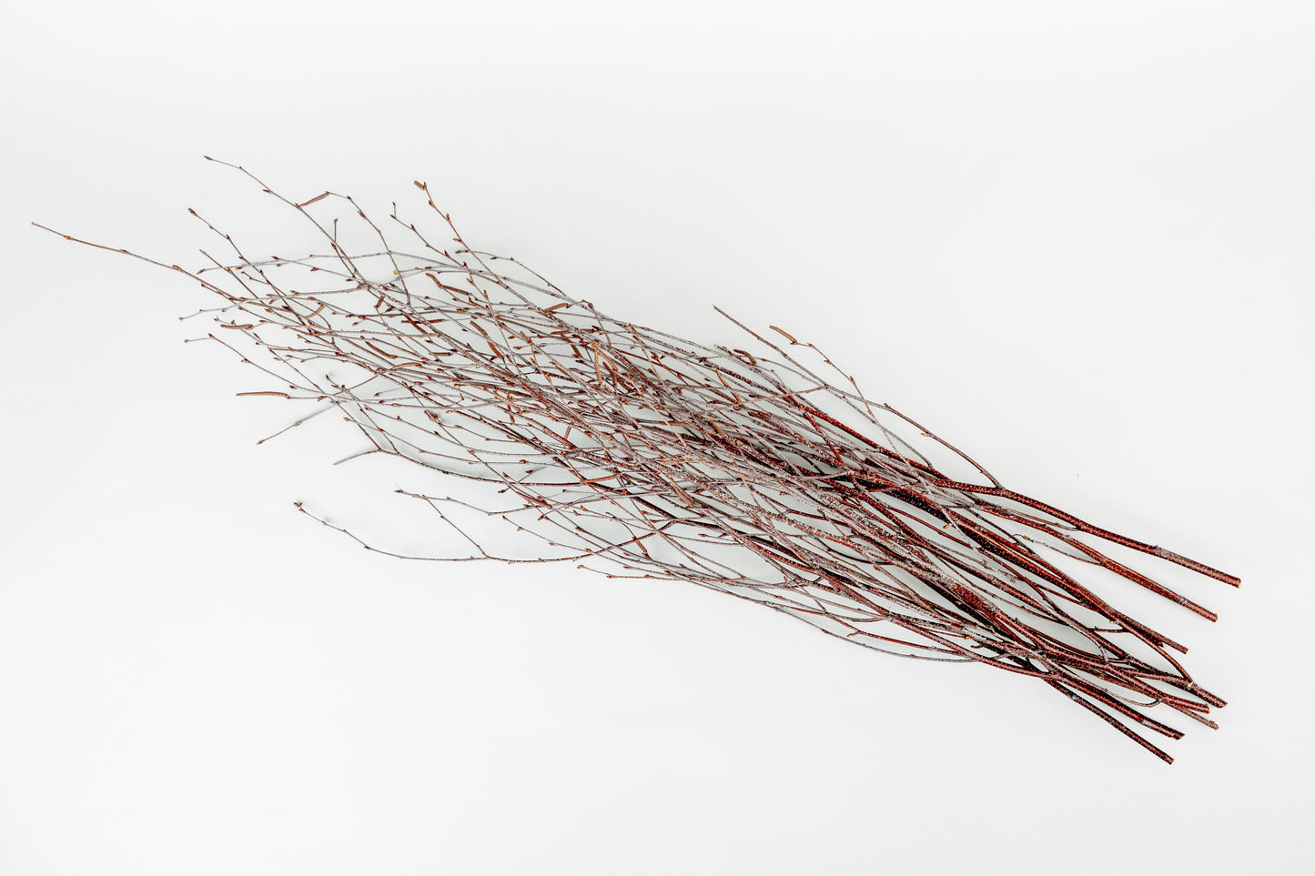 Birch Branches